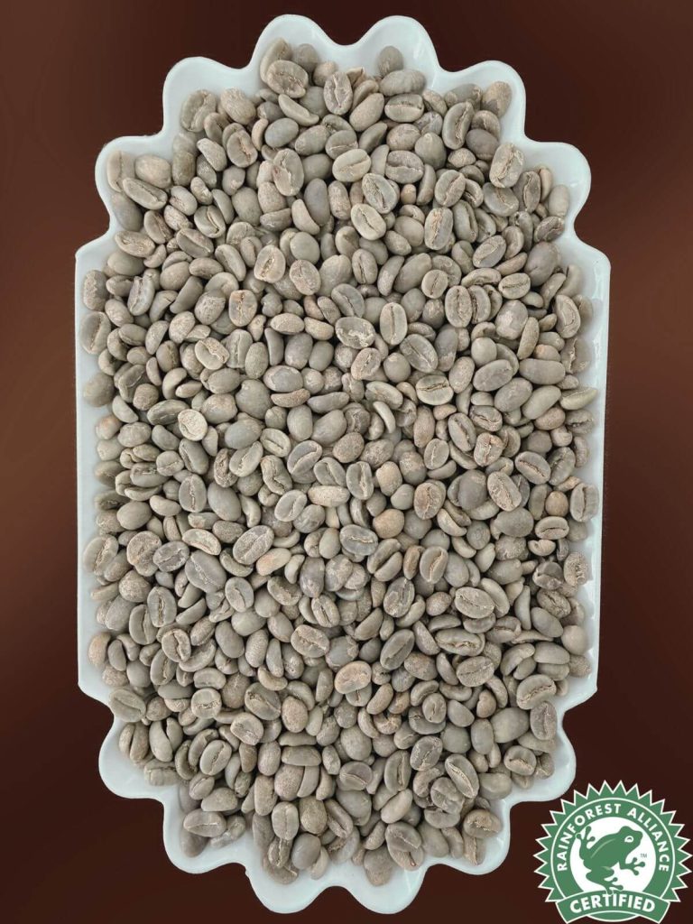 cafe ugq certificado efecto final